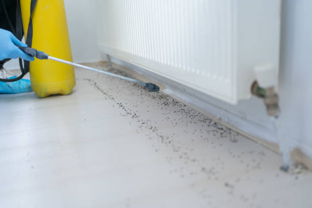 Belton, SC Pest Control Company